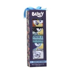 Bluey Men's Cozy Socks Set